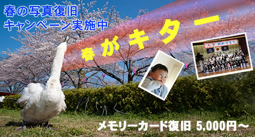 写真復旧
